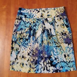 Ann Taylor skirt